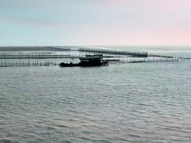 養(yǎng)魚水質(zhì)檢測(cè)項(xiàng)目 養(yǎng)魚水質(zhì)檢測(cè)項(xiàng)目