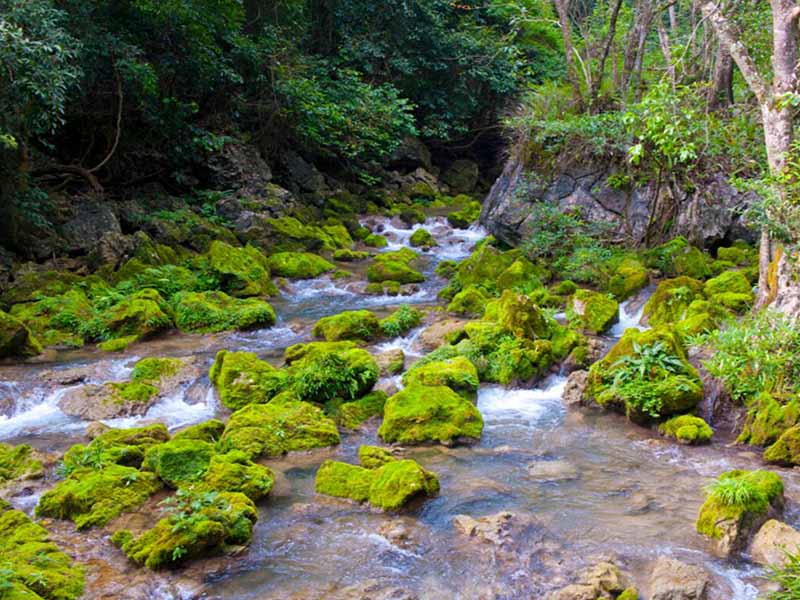 消毒劑的國家標準 消毒劑的國家標準