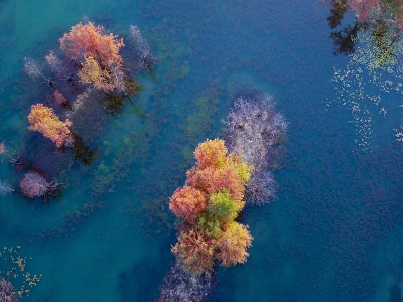 飲用水水質(zhì)監(jiān)測(cè)指標(biāo)有哪些