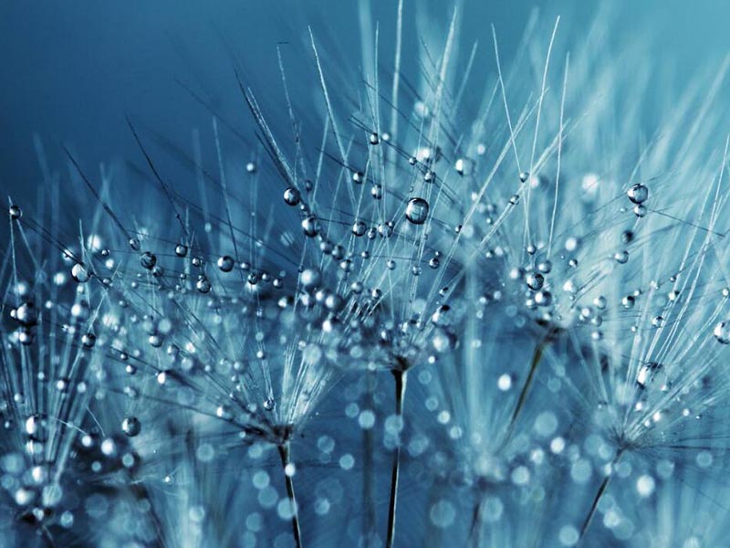 浮漂式水質(zhì)監(jiān)測(cè)站可以監(jiān)測(cè)哪些指標(biāo)