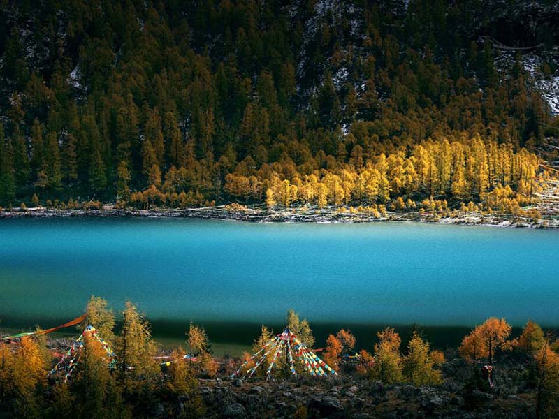 【實例】COD在線監(jiān)測儀使用常見故障