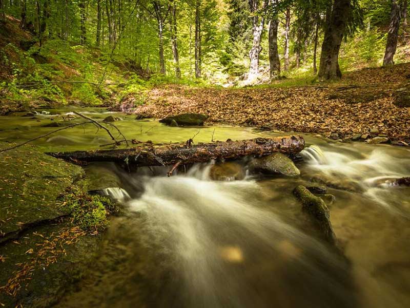 COD檢測(cè)儀怎么標(biāo)定