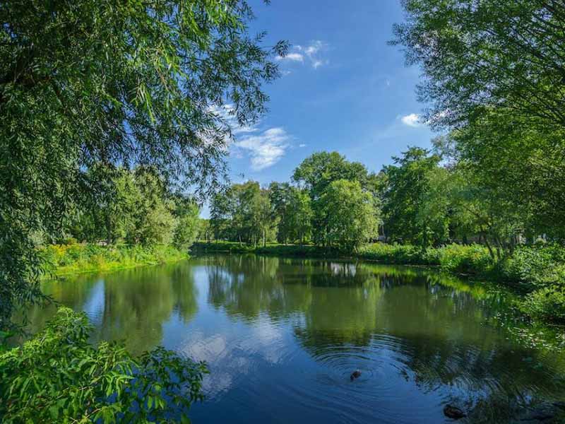 水體富營養(yǎng)化有哪些危害(水體富營養(yǎng)化治理措施)