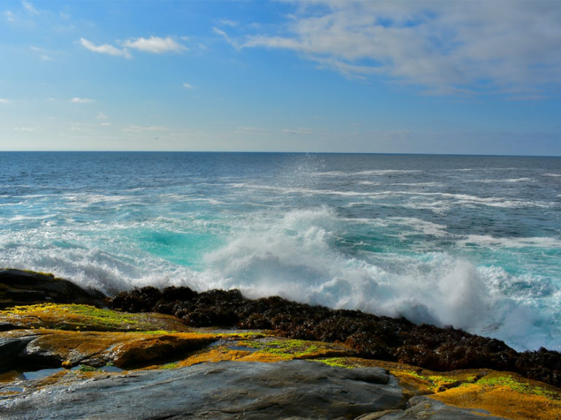 pH計的校準步驟及常見問題(pH計使用注意事項)